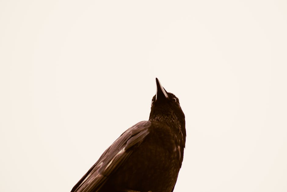 AI-Driven Layoffs Spark Regret Among Companies