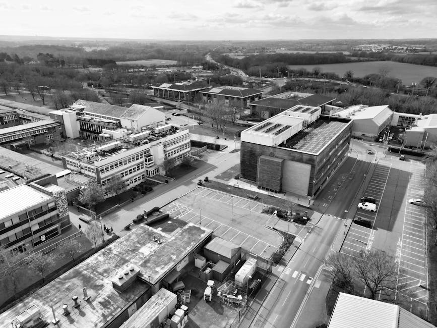 Mastering Campus Placements: A Comprehensive Guide for Students