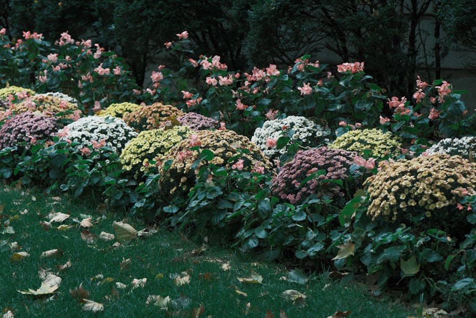 New Minimum Salary Changes Reshape Employment Landscape