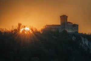 Narrative’s Enduring Influence in Data-Driven Times