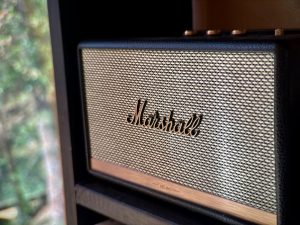 Building Brands with Purpose: Strategies for Success