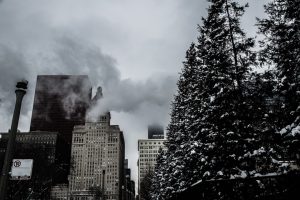 Why Climate Officers Are Becoming Essential in Corporate Leadership