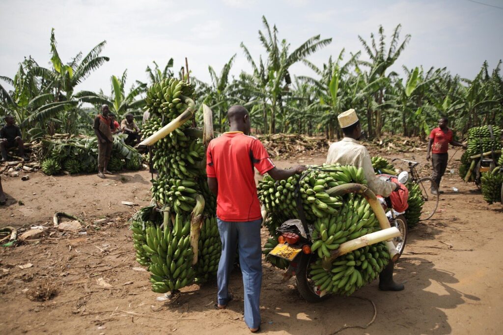Why Global Trade Needs a Rebrand for Inclusive Growth