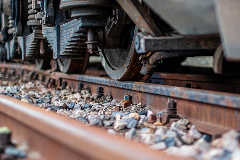 Art of Living and Svenska Institute Launch Heavy Vehicle Skills Training for Youth