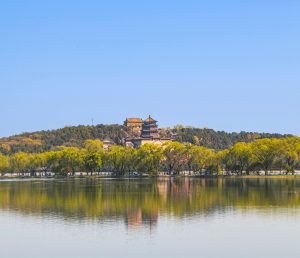 The Business of Longevity Tech: Biotech and Wearables Redefining Aging