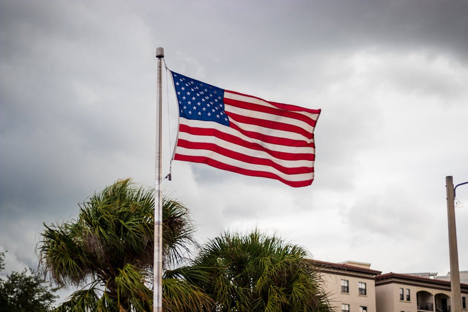 Florida SNAP Benefits Update: What to Expect After the Government Shutdown