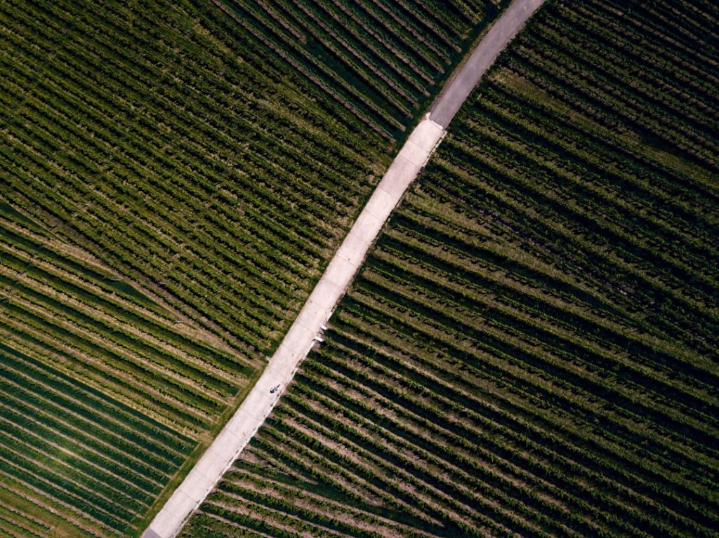 How Satellite Data Is Revolutionizing Earth’s Agriculture, Climate, and Health Forecasts