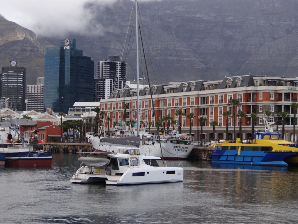 South Africa’s AI Dividend Hinges on Urgent Entrepreneurship Skills Investment