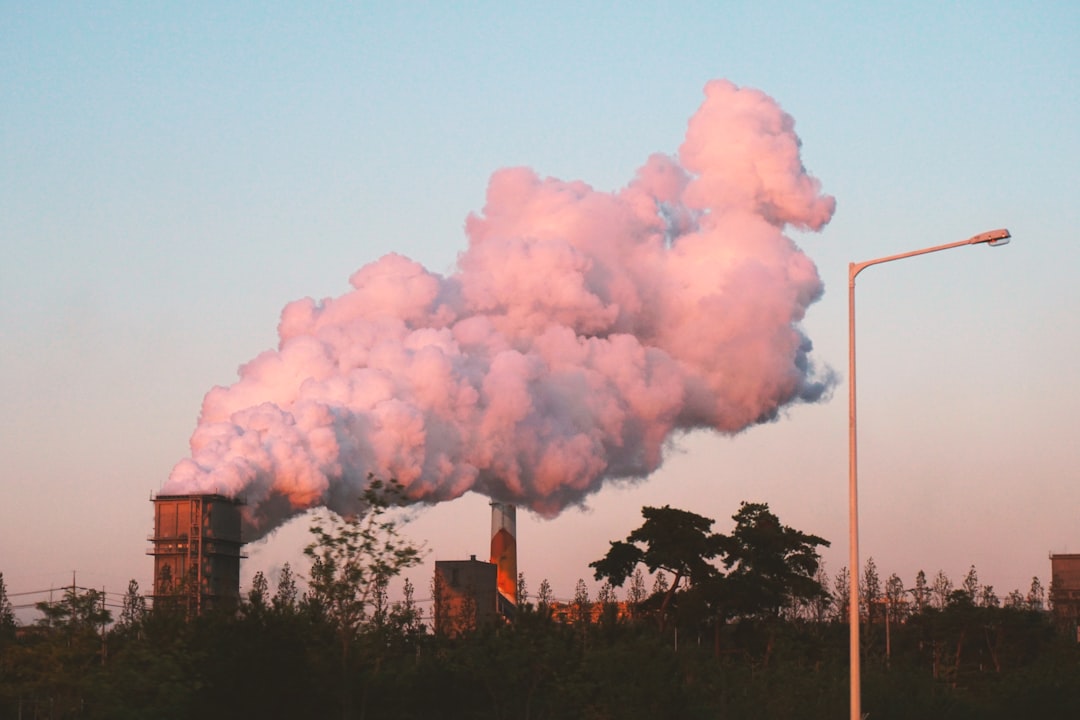 The Emerging Market of Carbon Removal: Startups and Innovation