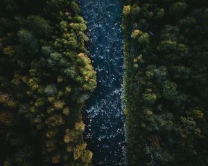 How to Turn Your Expertise Into Multiple Revenue Streams