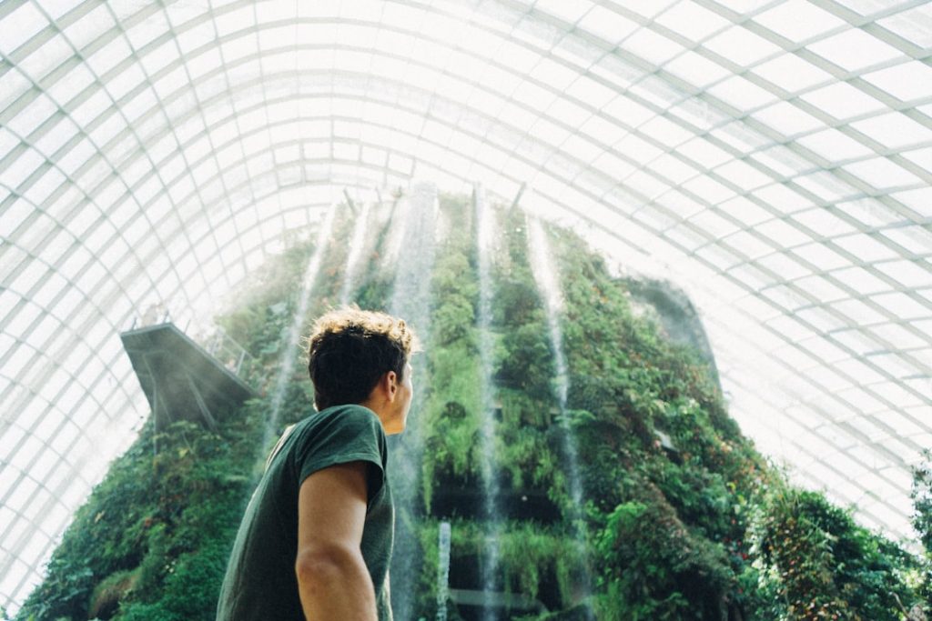 The Future of Human Learning: Adaptive, Personalized, and Lifelong Ecosystems