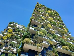 Redesigning Capitalism for Climate Sustainability