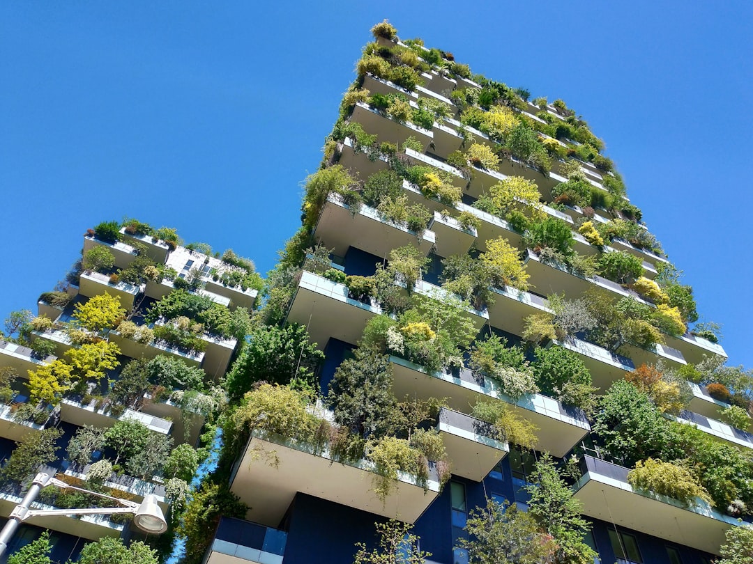 Redesigning Capitalism for Climate Sustainability