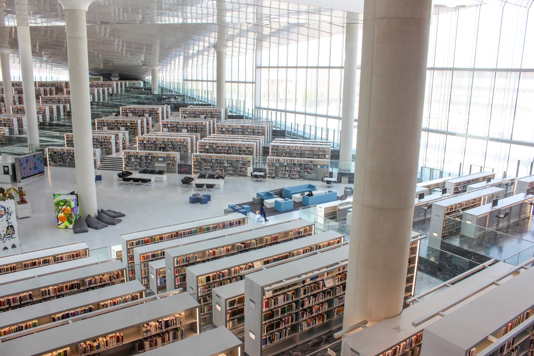 Reimagining Public Libraries for the Digital Age