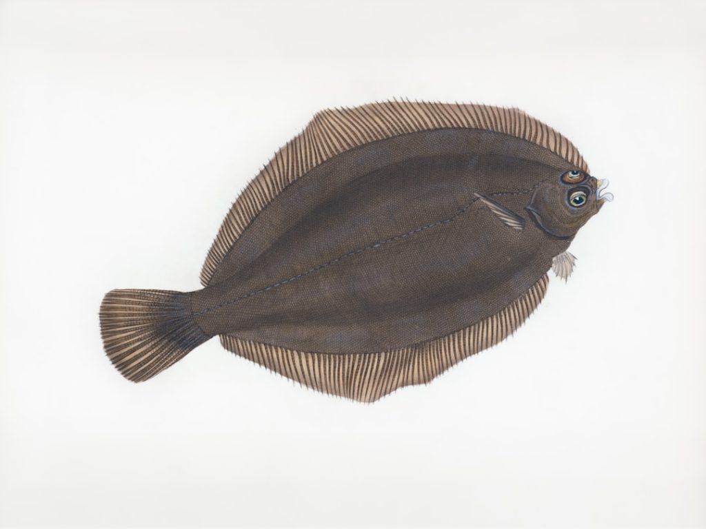 Fostering Inclusion in Science: A Global Imperative