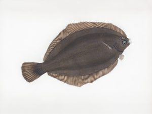 Fostering Inclusion in Science: A Global Imperative