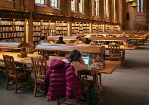 The Skills Gap: Bridging Education and Workforce Needs in 2025