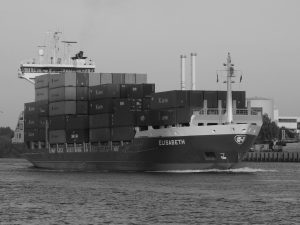 Shipping Corporation of India Strengthens Leadership with New Board Appointment