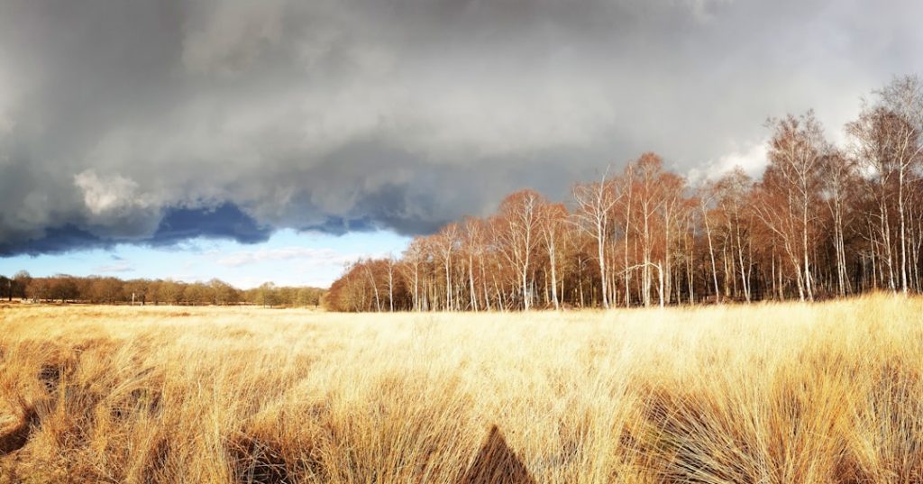 Navigating the Moral Landscape of Geoengineering