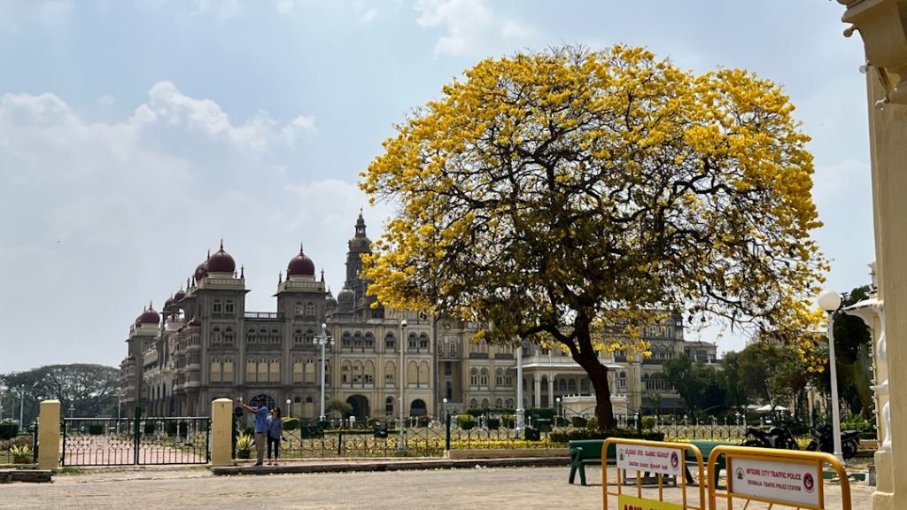 Odisha Hosts CSR & Sustainability Conclave 2025 to Accelerate Inclusive Growth