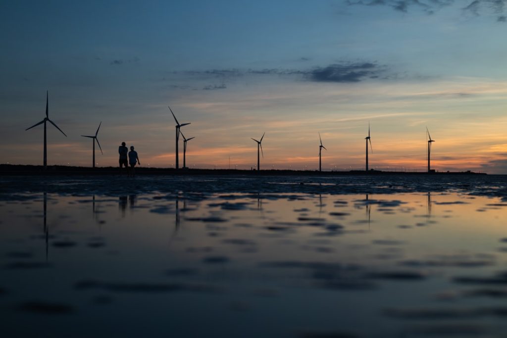 How the Climate Crisis Is Reshaping Global Careers in Renewable Energy and Adaptation