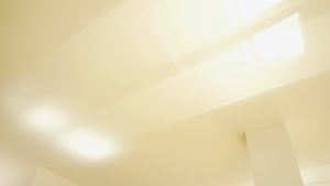 Gen Z CEOs: Redefining Leadership in the Pharmaceutical Sector