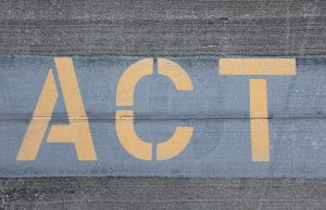 Understanding the Psychology Behind Collective Action