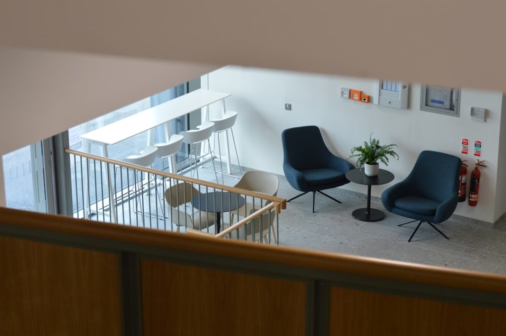 Biophilic Design: How Nature in Offices Enhances Productivity