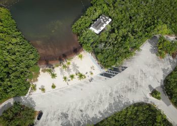 Rethinking Education for Modern Needs