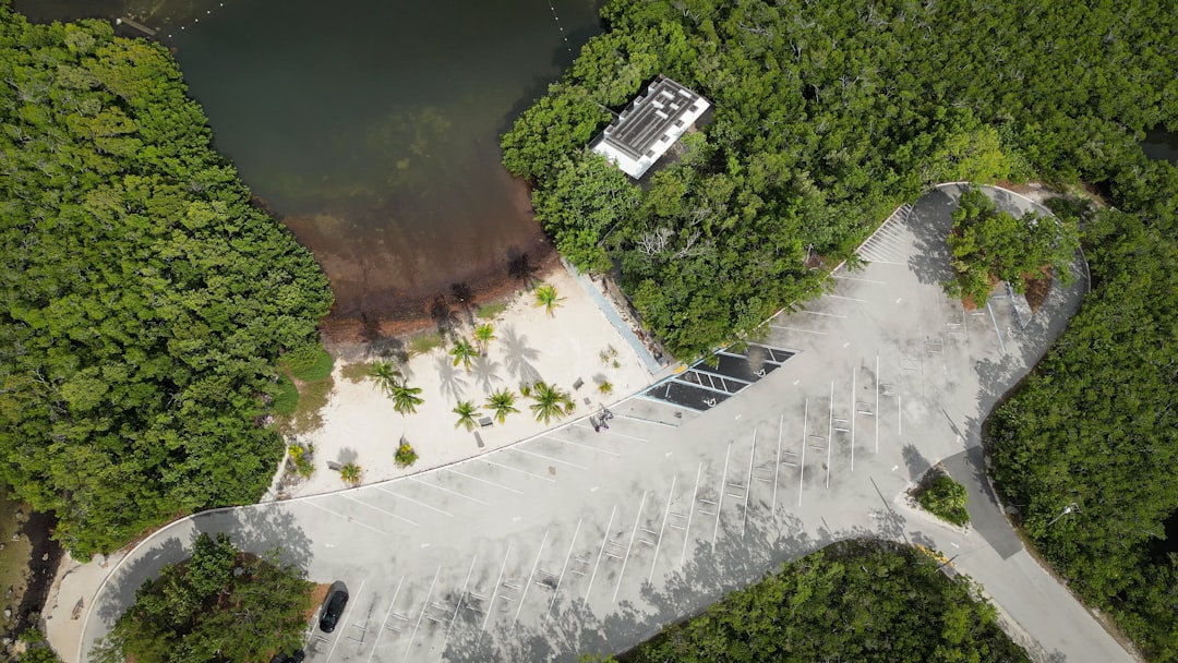 Harnessing AI for Natural Disaster Prediction
