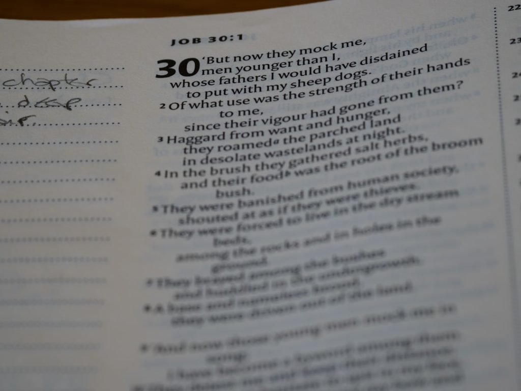 SBI Clerk Mains Exam 2025 Scheduled for November: Key Details and Implications for Aspirants