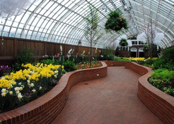 phillips conservatory, pittsburg, path, flowers, pittsburg, pittsburg, pittsburg, pittsburg, pittsburg