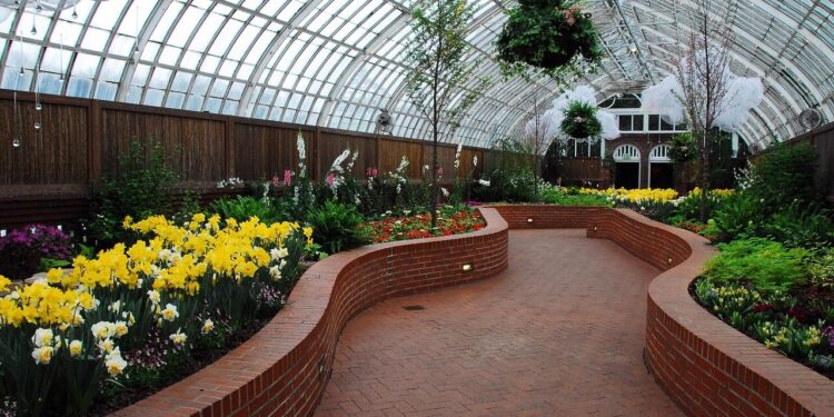 phillips conservatory, pittsburg, path, flowers, pittsburg, pittsburg, pittsburg, pittsburg, pittsburg