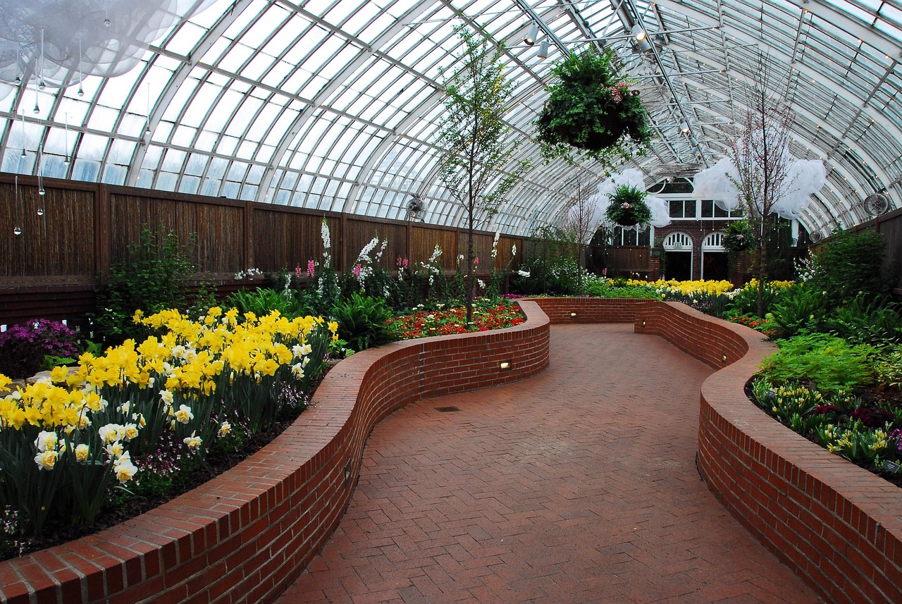 phillips conservatory, pittsburg, path, flowers, pittsburg, pittsburg, pittsburg, pittsburg, pittsburg