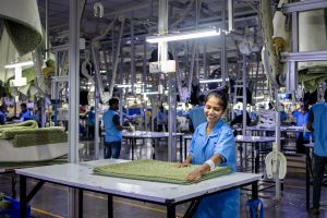 Emerging Green Jobs in India: Trends and Opportunities for 2025