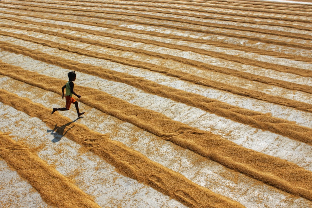 Food Security 2030: Navigating Climate and Technology