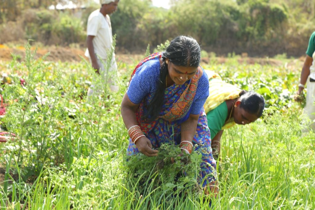 Nidhi Bhasin Leads Digital Green Trust to Revolutionize Indian Agriculture with Tech and Sustainability