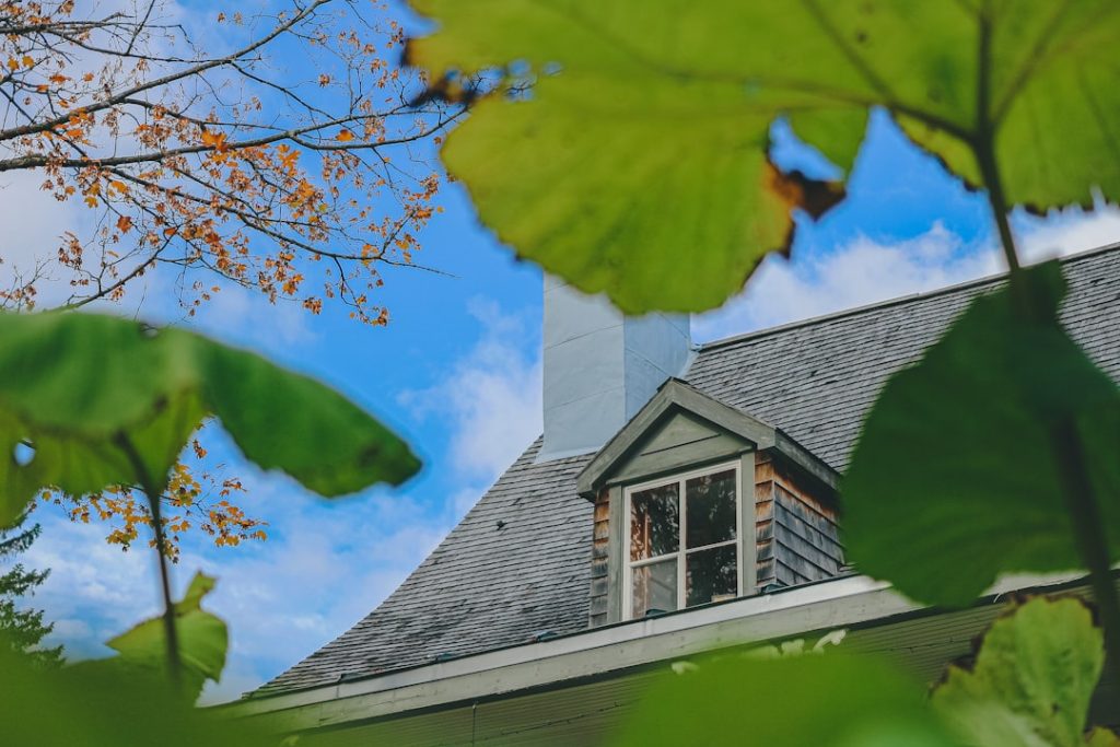 Sonoma County Sees Business Growth Amid Real Estate Shifts