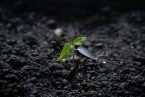 AI Consulting Market Surges as 70% of Firms Accelerate Integration Across Key Industries