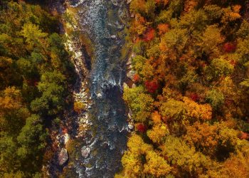 Stunning aerial view of Chattooga River, Georgia, surrounded by vibrant autumn foliage.