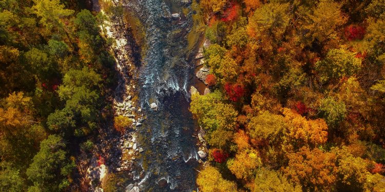 Stunning aerial view of Chattooga River, Georgia, surrounded by vibrant autumn foliage.