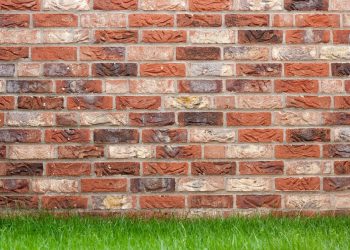 GHCL Foundation Drives Skill Development for 5,500 Gujarat Youth