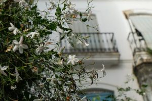 Jasmine Roth Reveals How One Email Launched Her HGTV Career