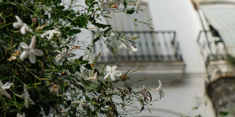 Jasmine Roth Reveals How One Email Launched Her HGTV Career