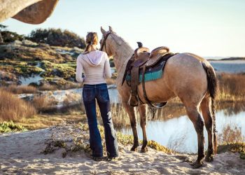 Venture Capital Tax Strategies Under Scrutiny in India