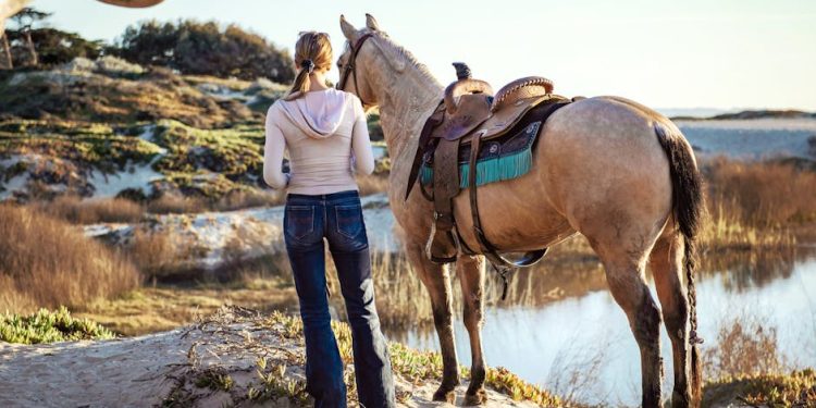 Venture Capital Tax Strategies Under Scrutiny in India