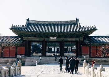 Career Ahead: Navigating South Korea’s Evolving Job Market