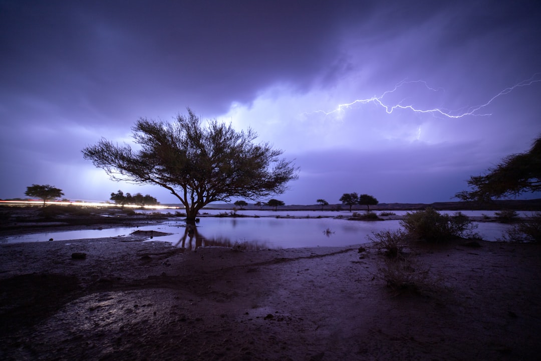 Groundbreaking Partnership to Shape Saudi Arabia’s Tourism Future