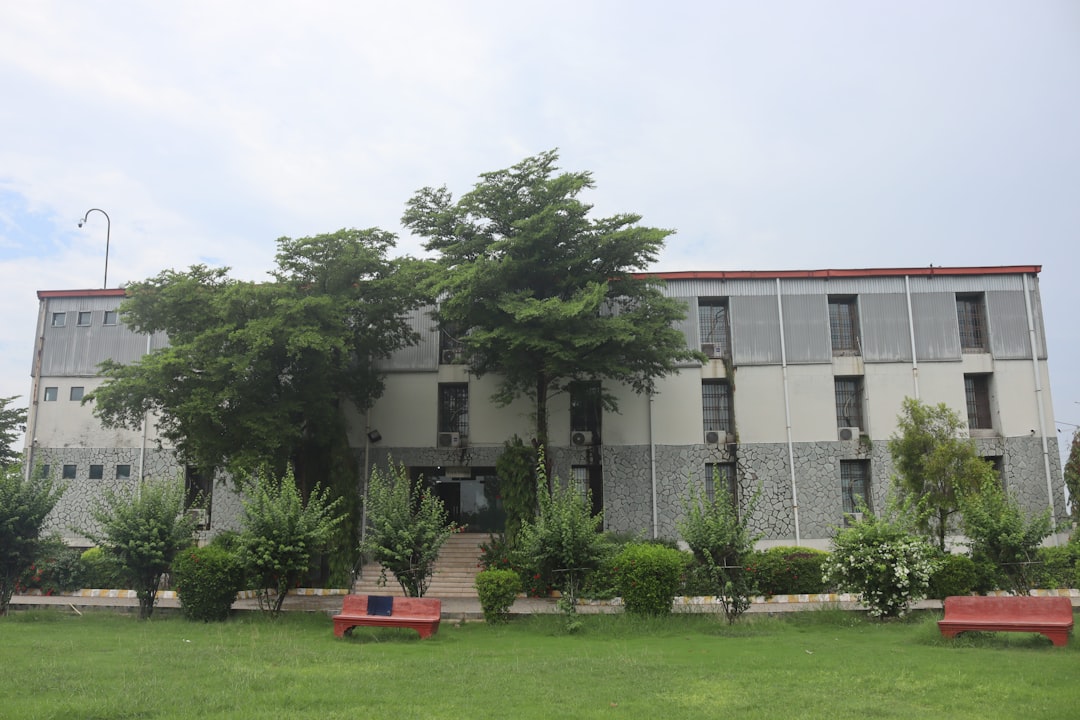 BJP govt focused on strengthening higher education in Tripura: CM Saha