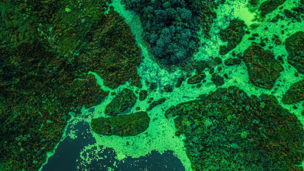 How to Build a Career in Environmental Data Science Amid Rising Global Demand